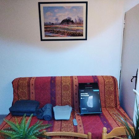 Residence Du Parc Des Tilleuls De Lyon 82 M2 Pkg Free Eksteriør bilde